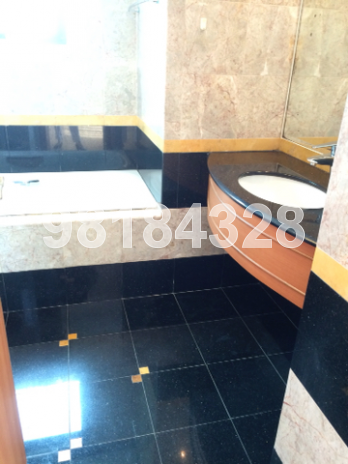Chantilly Rise (D23), Condominium #9811322